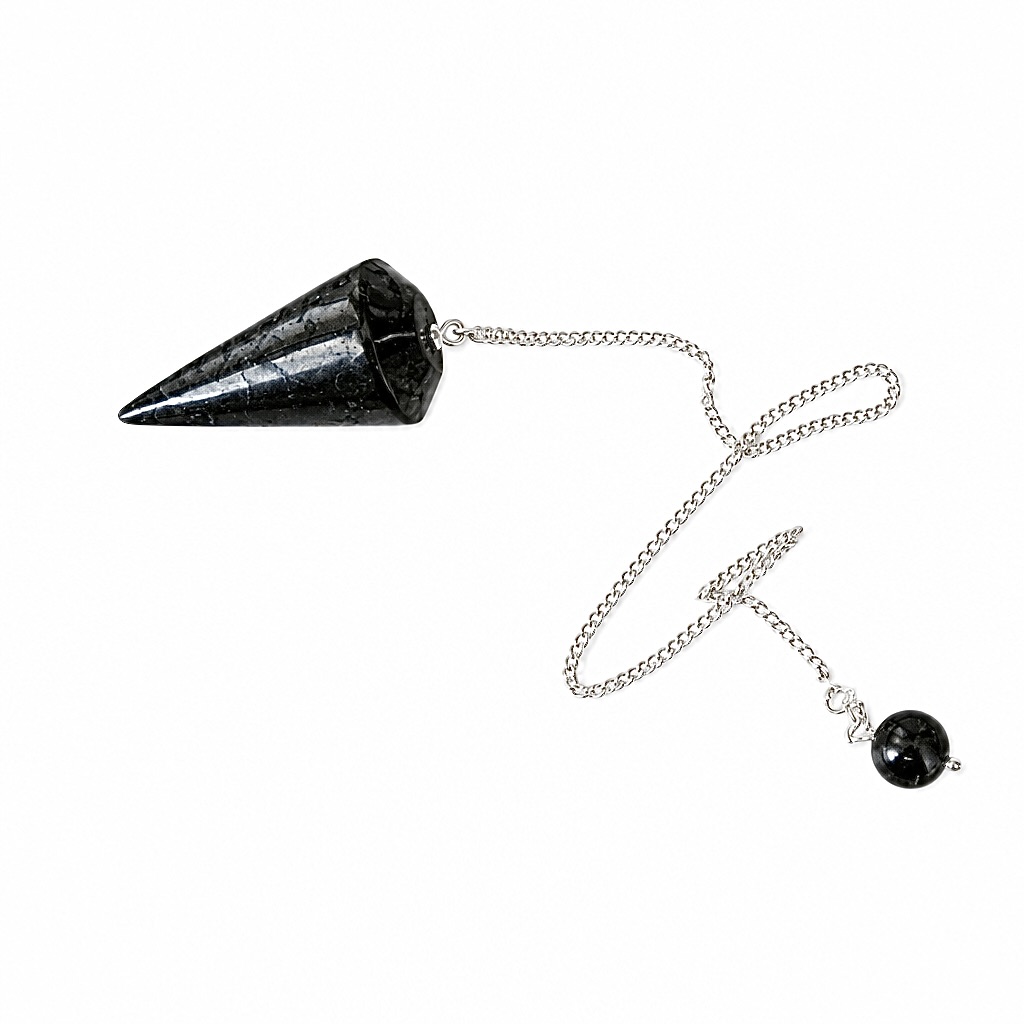 Pendule shungite