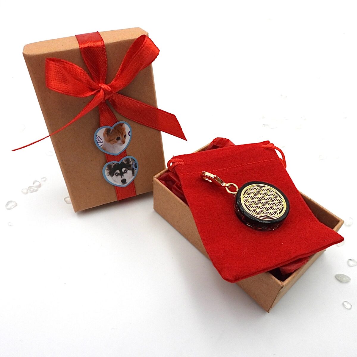 Coffret Whouaf Miaou