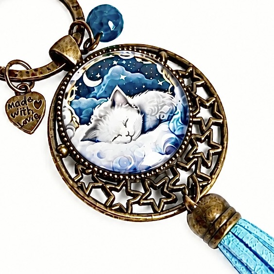 Accessoire chat