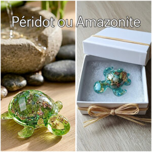 Bébés tortue orgonite